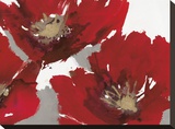Red Poppy Forrest II