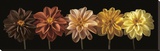 Floral Salute