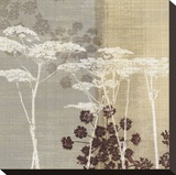 Lace I