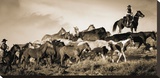 Gathering the Herd
