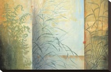 Ferns and Grasses