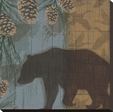 Yellowstone Park I