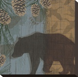 Yellowstone Park I