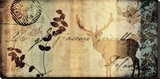 Letter II