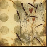 Playful Meadow II
