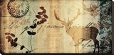 Letter II