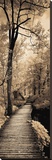A Quiet Stroll I