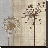 In the Breeze I
