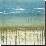 Shoreline Memories II