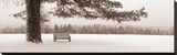 First Snow II