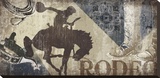 Saddle Up II