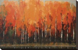 Birch Shoreline