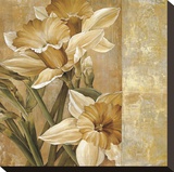 Champagne Daffodils I