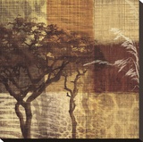 Safari III