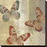 Tropical Butterflies II