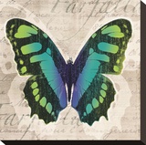Butterflies II