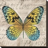 Butterflies I