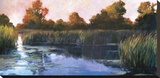 The Lily Pond