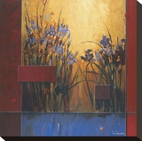 Iris Sunrise