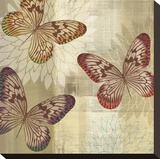 Tropical Butterflies I