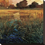 Golden Creek