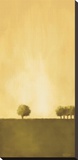 Cluster of Trees II