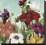 Efflorescence