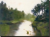 Foothills Stream