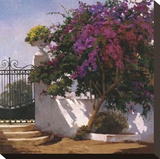 Menorca Home