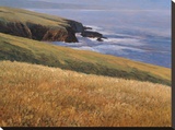 Patrick Head I