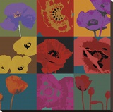 Pop Poppies