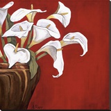 Callas on Red