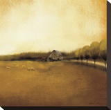 Rural Landscape I