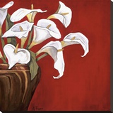 Callas on Red