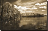 Nature's Glory