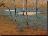 Marais