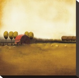 Rural Landscape II