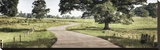Path to a Perfect Place