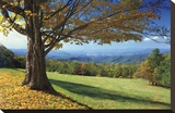 Blue Ridge Beauty