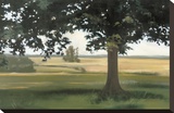 Hidden Pasture