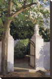 Acacia