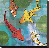 Lucky Koi I