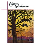 "Wild Turkeys Roosting " Country Gentleman Cover  November 1  1938