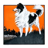 "Sheepdog Oversees Flock "June 14  1924