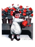"Toddler Watering Geraniums "June 28  1924