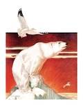 "Polar Bear on Iceberg "January 14  1933
