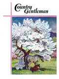 "Horses and Tree Blossoms " Country Gentleman Cover  May 1  1940