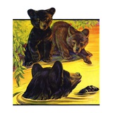 "Bear and Cubs in River "August 25  1934
