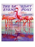 "Pink Flamingos " Saturday Evening Post Cover  January 29  1938