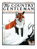 "Mice Hiding from Fox " Country Gentleman Cover  February 3  1923